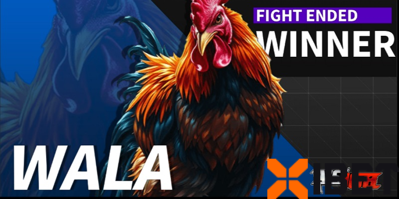Sảnh WS168 tại Xibet – Nắm chặt đấu trường đá gà trong tay