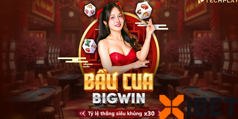 Chiến thuật cược bầu cua Xibet hiệu quả