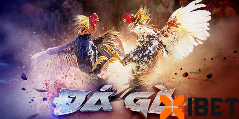 Sảnh Techplay tại Xibet – Đẳng cấp đá gà thời thượng Châu Á
