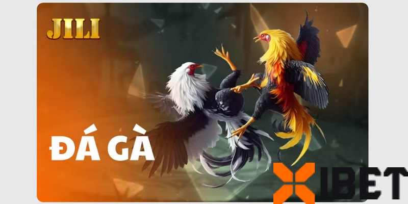 Sảnh JILI tại Xibet – Trải nghiệm đá gà đồ họa 3D thế hệ mới