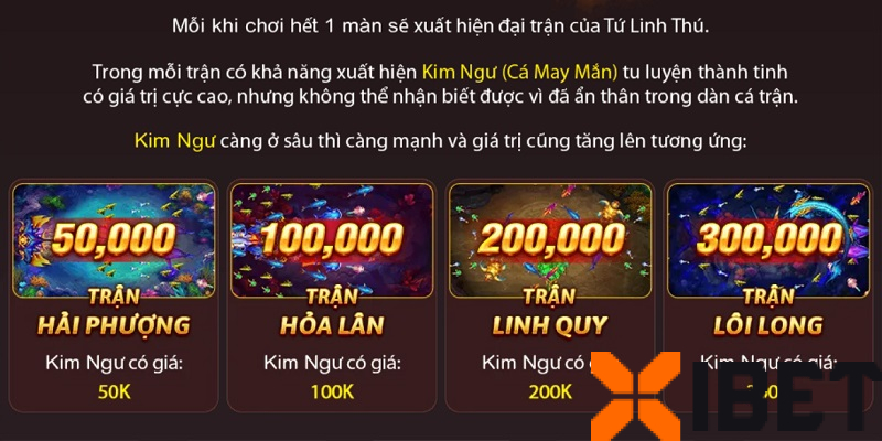 Tích lũy vốn từ đàn cá